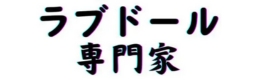 ラブドール専門家