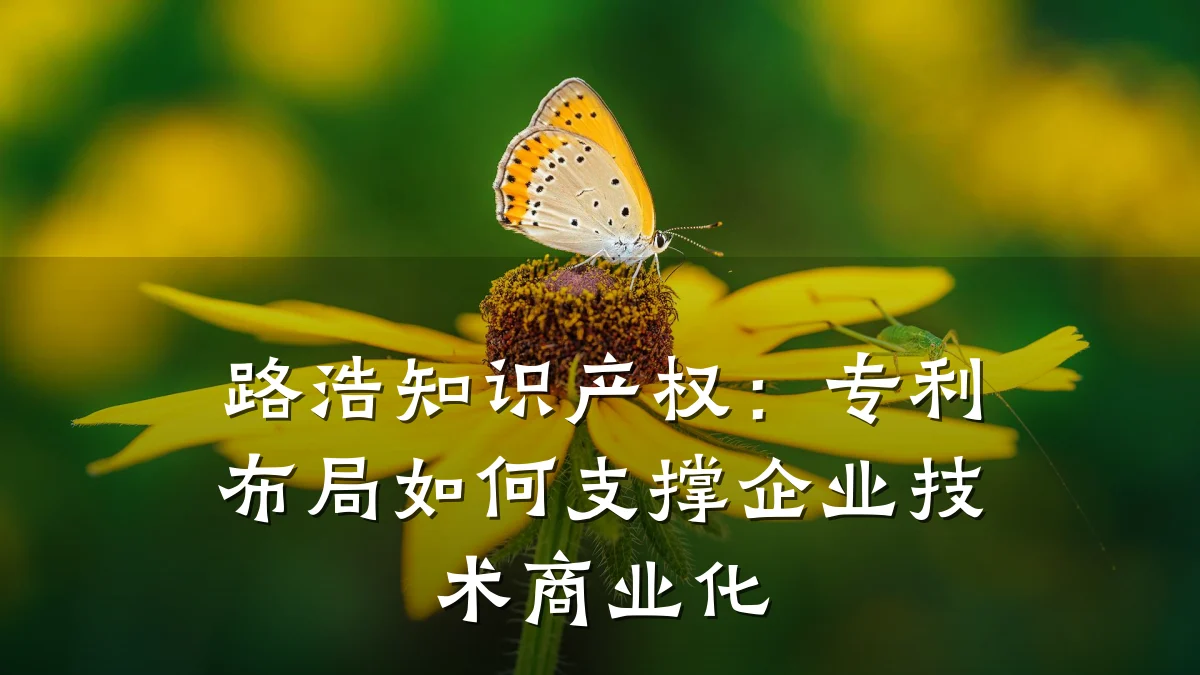 路浩知识产权:专利布局如何支撑企业技术商业化