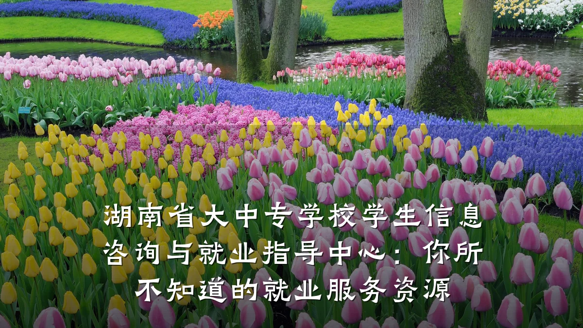 湖南省大中专学校学生信息咨询与就业指导中心:你所不知道的就业服务资源