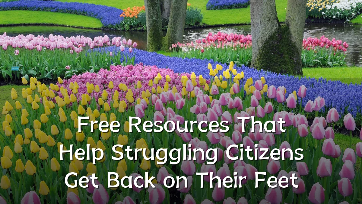 Free Resources That Help Struggling Citizens Get Back on Their Feet