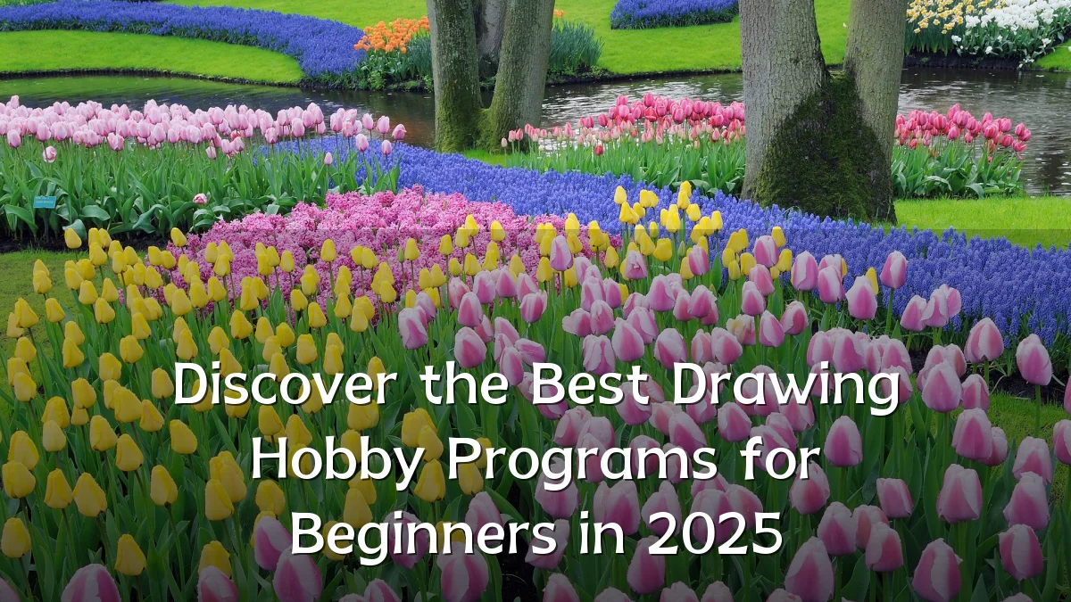 Discover the Best Drawing Hobby Programs for Beginners in 2025
