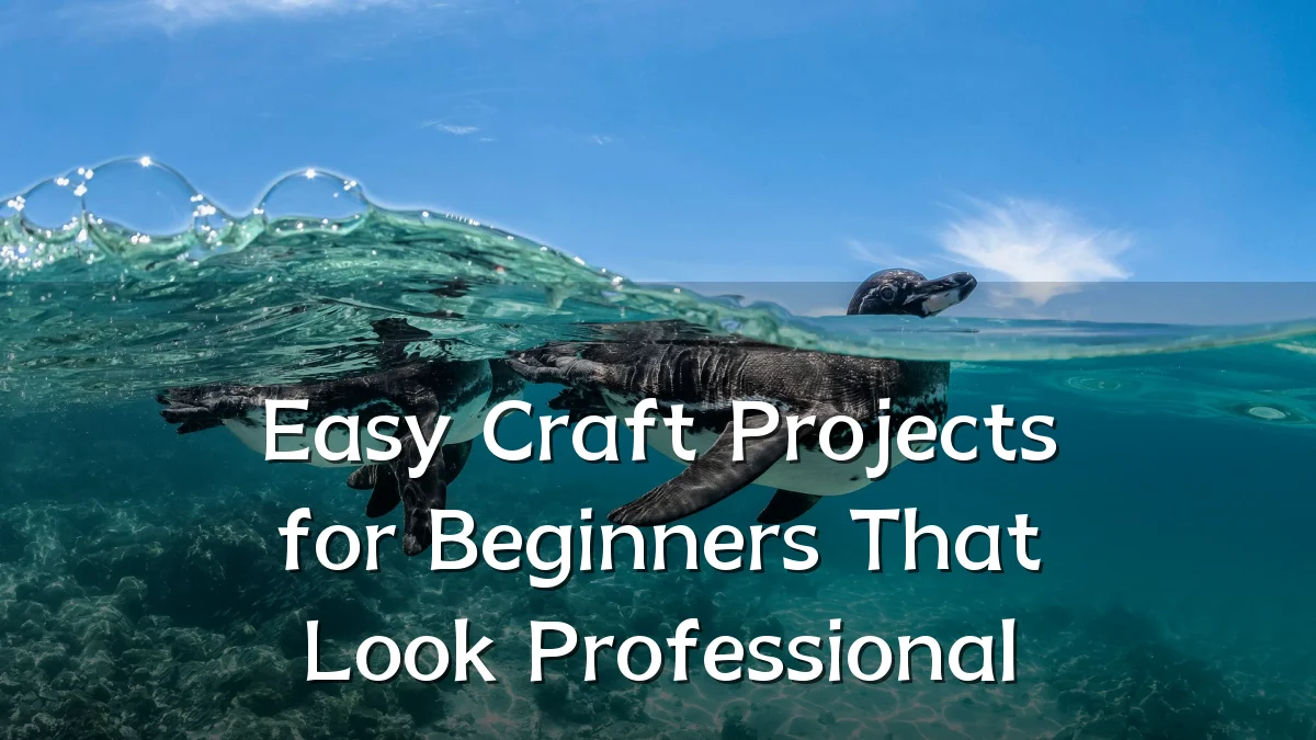 Easy Craft Projects for Beginners That Look Professional