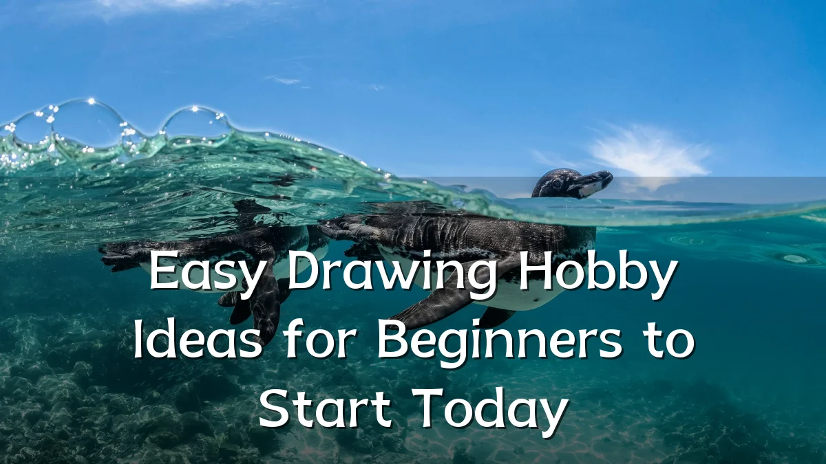 Easy Drawing Hobby Ideas for Beginners to Start Today