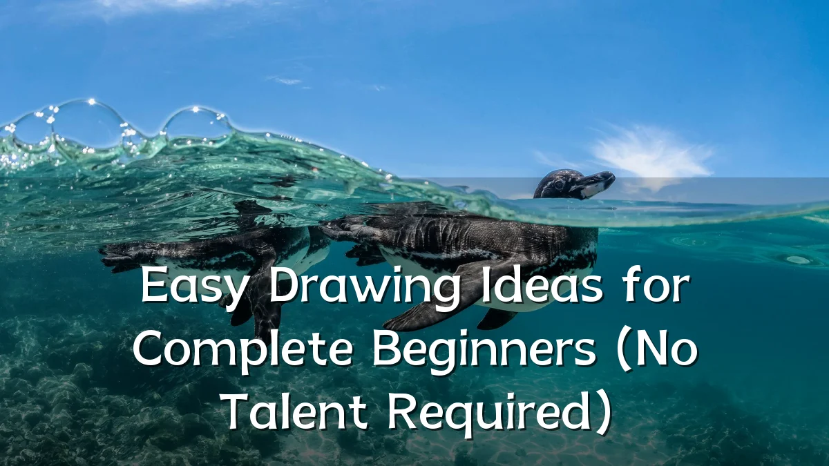 Easy Drawing Ideas for Complete Beginners (No Talent Required)