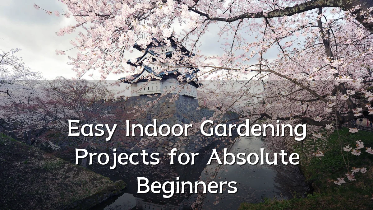 Easy Indoor Gardening Projects for Absolute Beginners