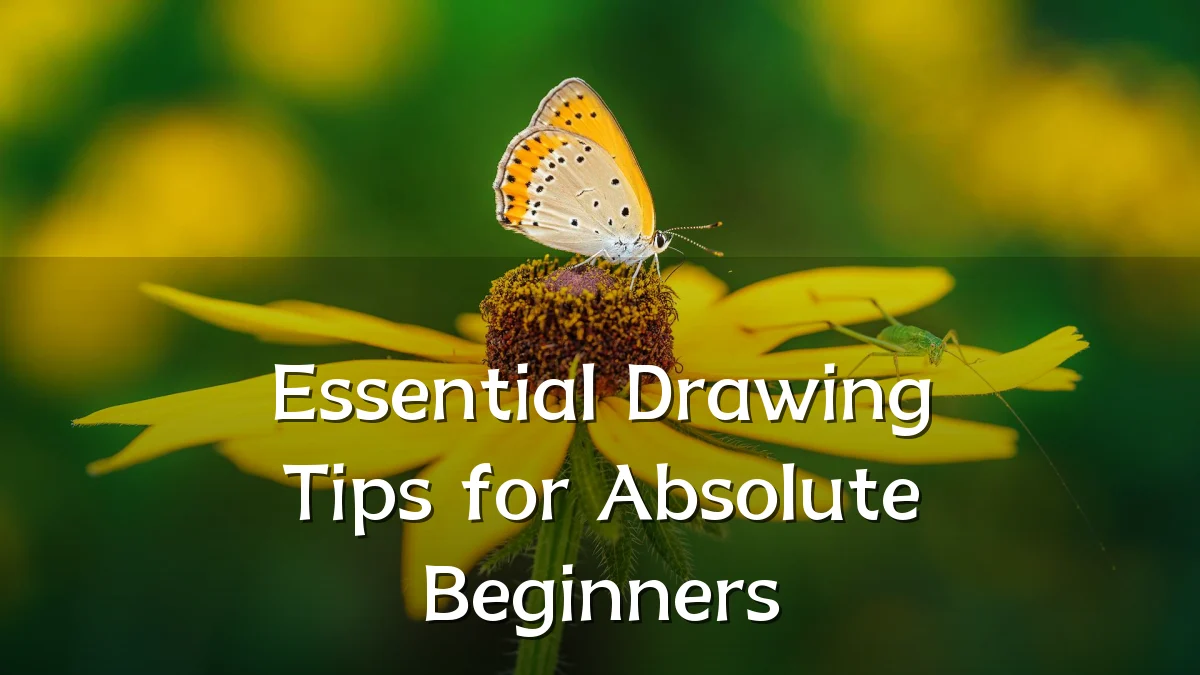 Essential Drawing Tips for Absolute Beginners