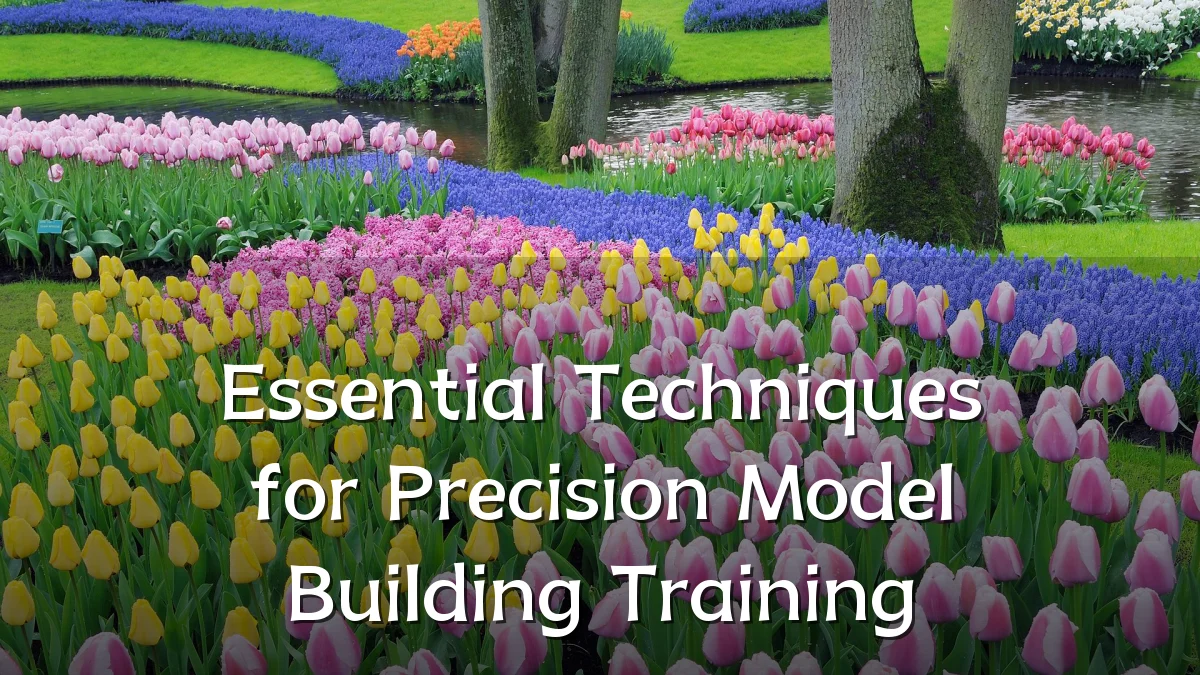 Essential Techniques for Precision Model Building Training