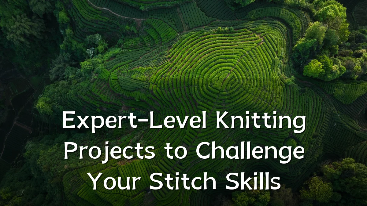 Expert-Level Knitting Projects to Challenge Your Stitch Skills