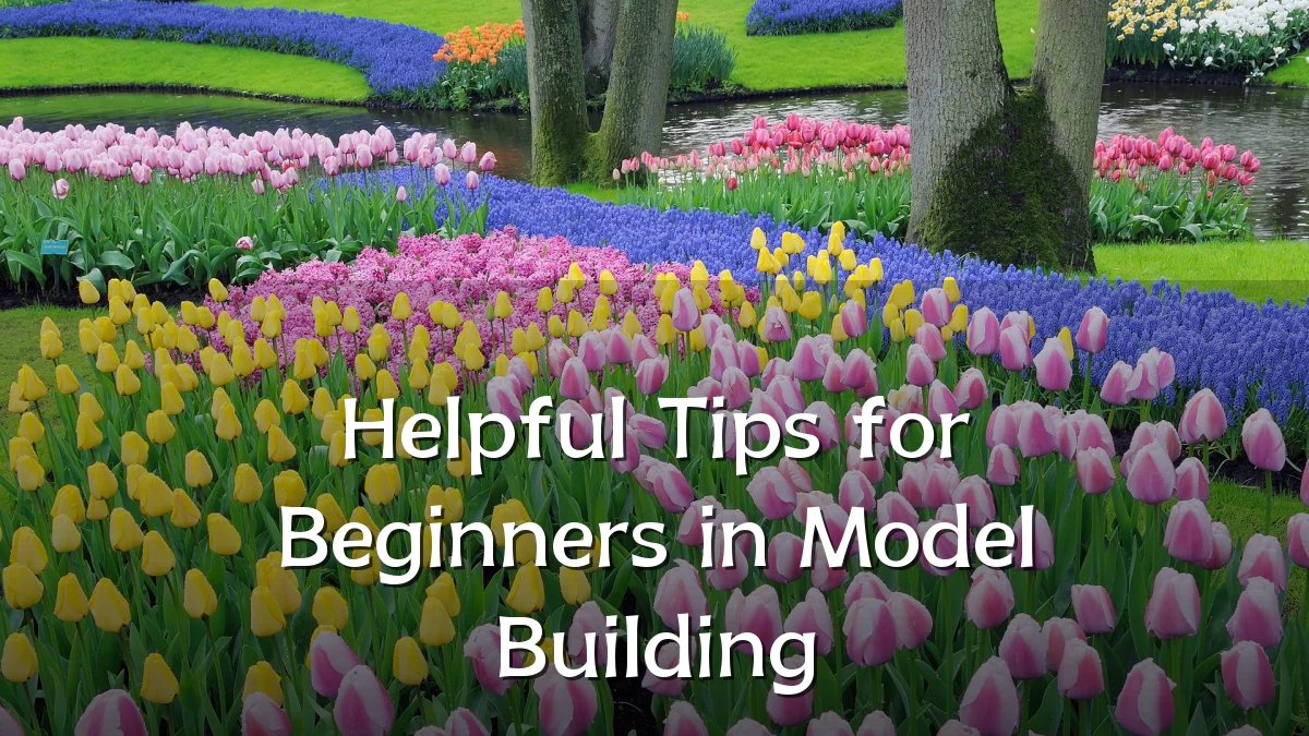 Helpful Tips for Beginners in Model Building