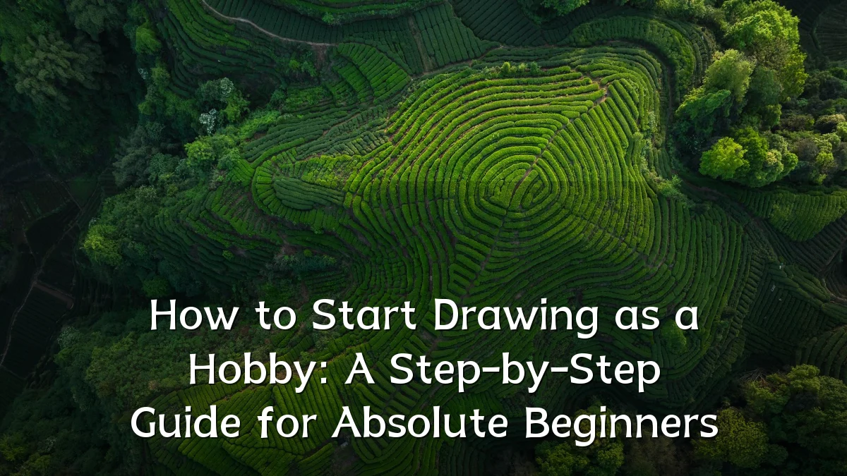 How to Start Drawing as a Hobby: A Step-by-Step Guide for Absolute Beginners