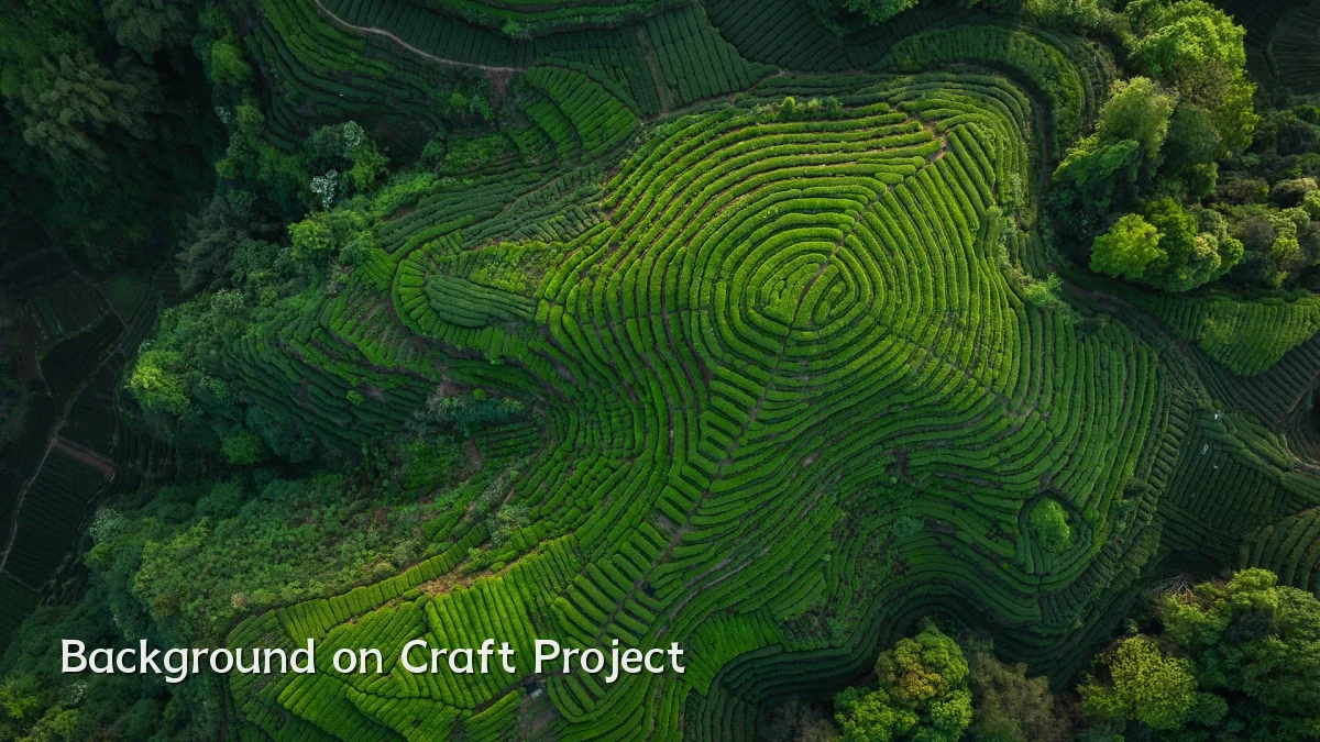 Background on Craft Project