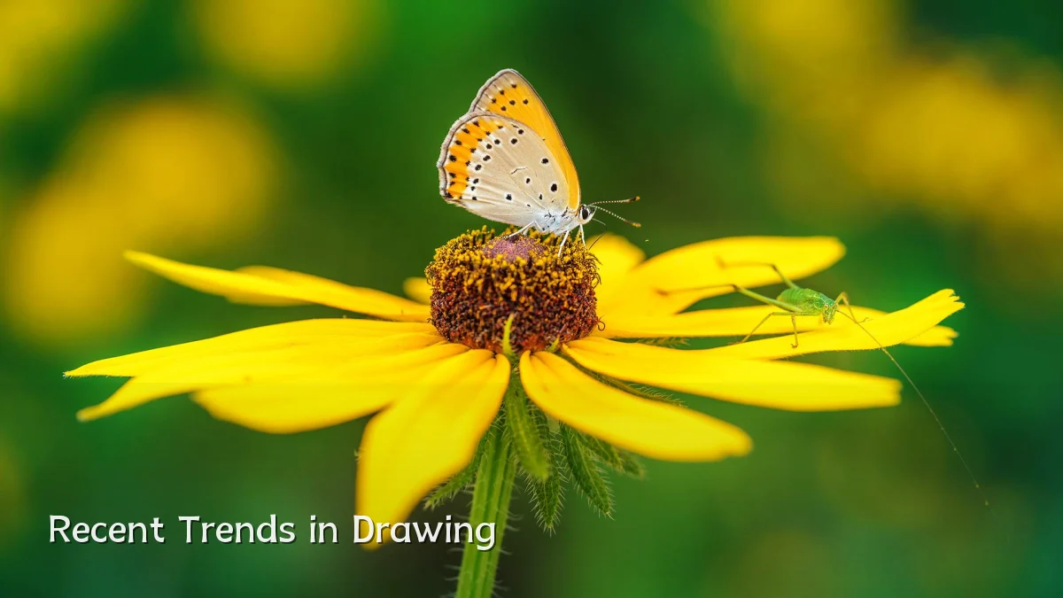 Recent Trends in Drawing