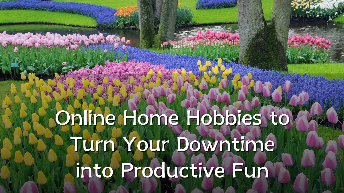 Online Home Hobbies to Turn Your Downtime into Productive Fun
