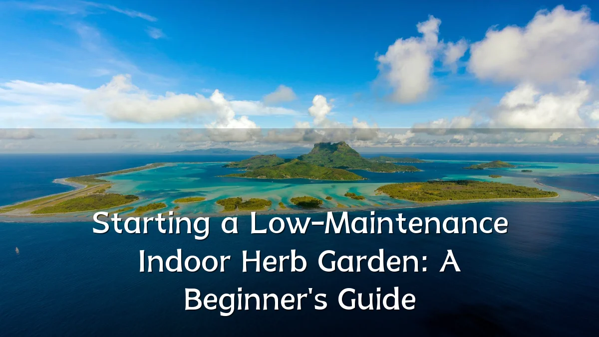 Starting a Low-Maintenance Indoor Herb Garden: A Beginner's Guide