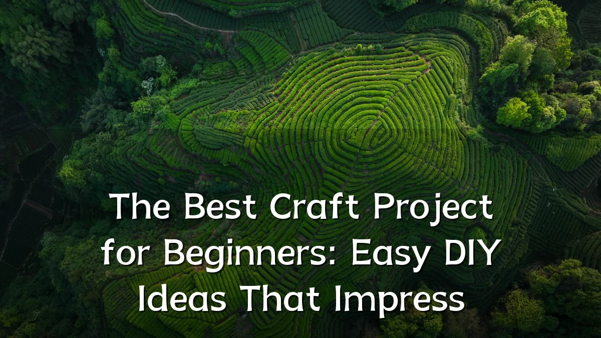 The Best Craft Project for Beginners: Easy DIY Ideas That Impress