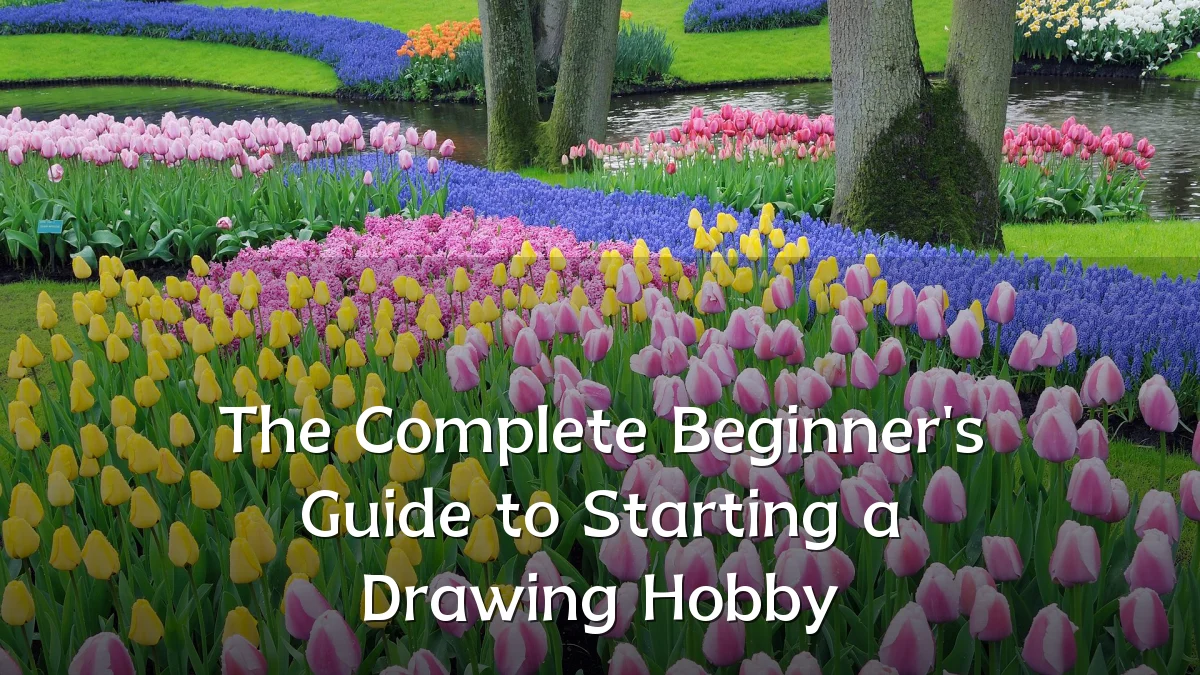 The Complete Beginner's Guide to Starting a Drawing Hobby