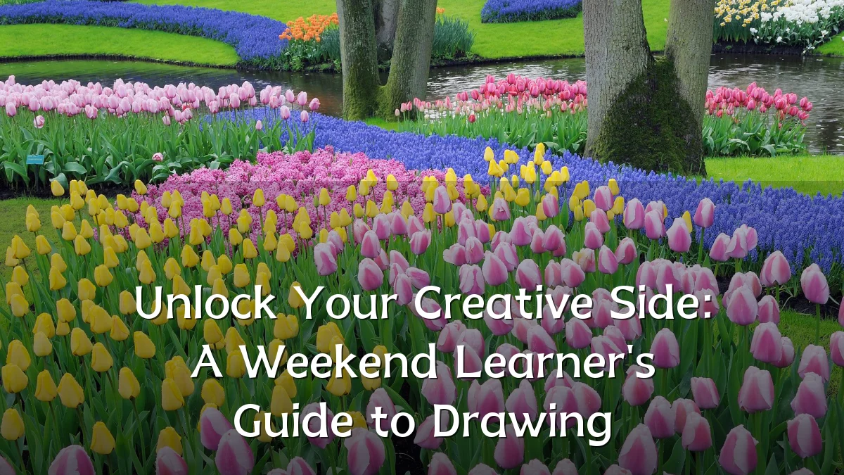 Unlock Your Creative Side: A Weekend Learner's Guide to Drawing