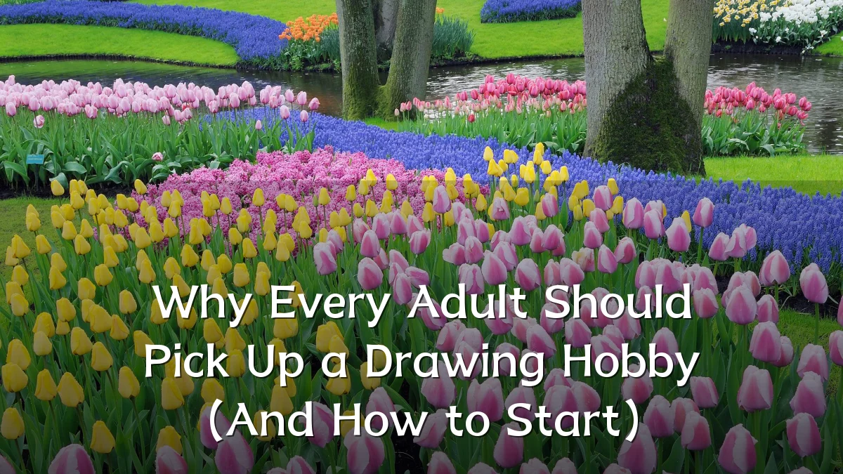 Why Every Adult Should Pick Up a Drawing Hobby (And How to Start)
