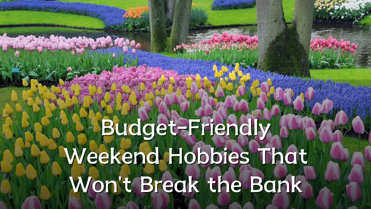 Budget-Friendly Weekend Hobbies That Won't Break the Bank
