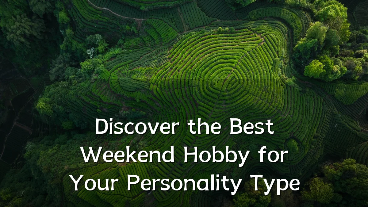 Discover the Best Weekend Hobby for Your Personality Type