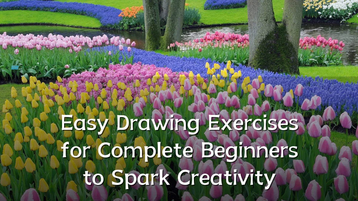 Easy Drawing Exercises for Complete Beginners to Spark Creativity