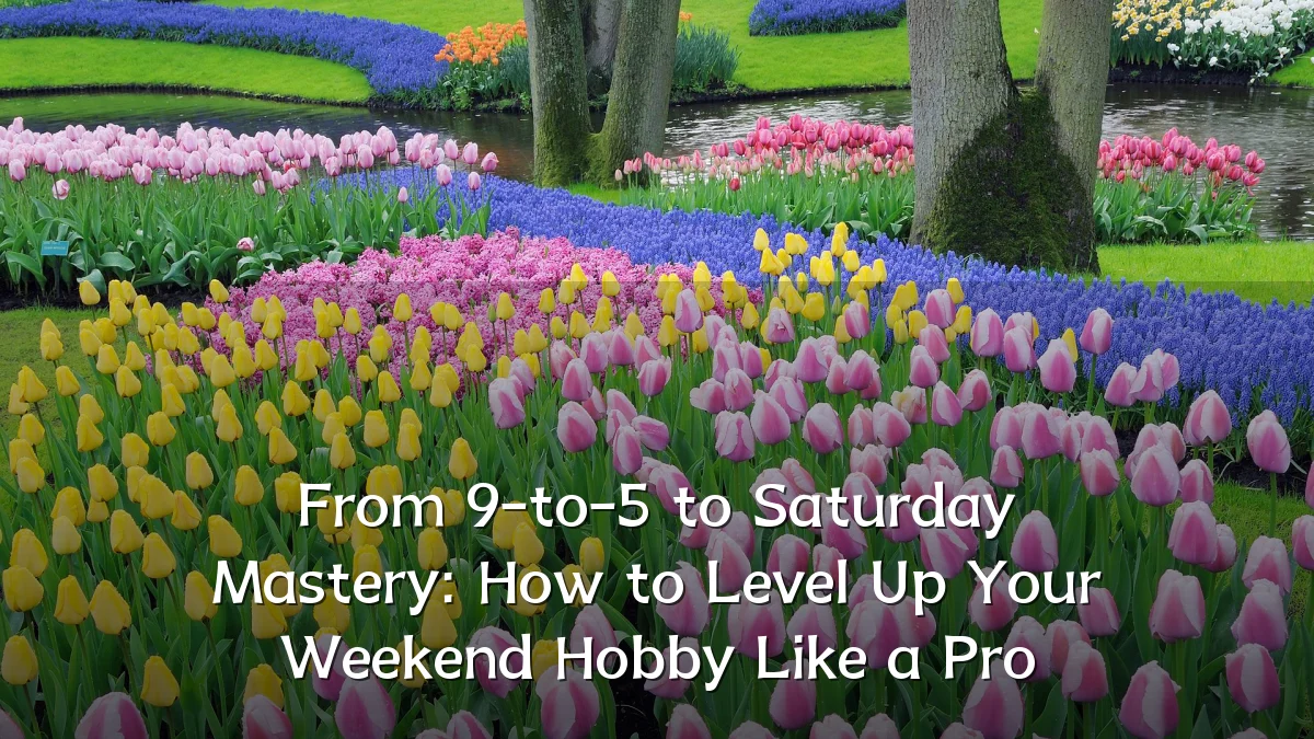 From 9-to-5 to Saturday Mastery: How to Level Up Your Weekend Hobby Like a Pro