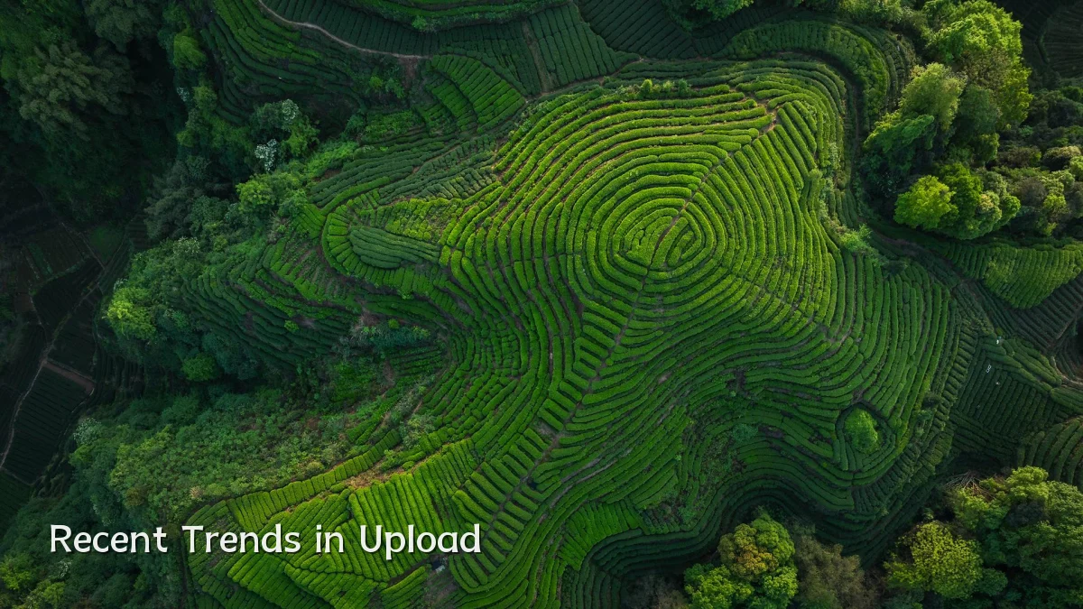 Recent Trends in Upload