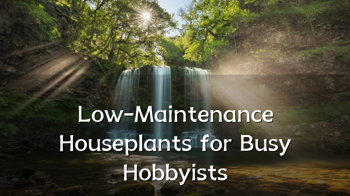 Low-Maintenance Houseplants for Busy Hobbyists