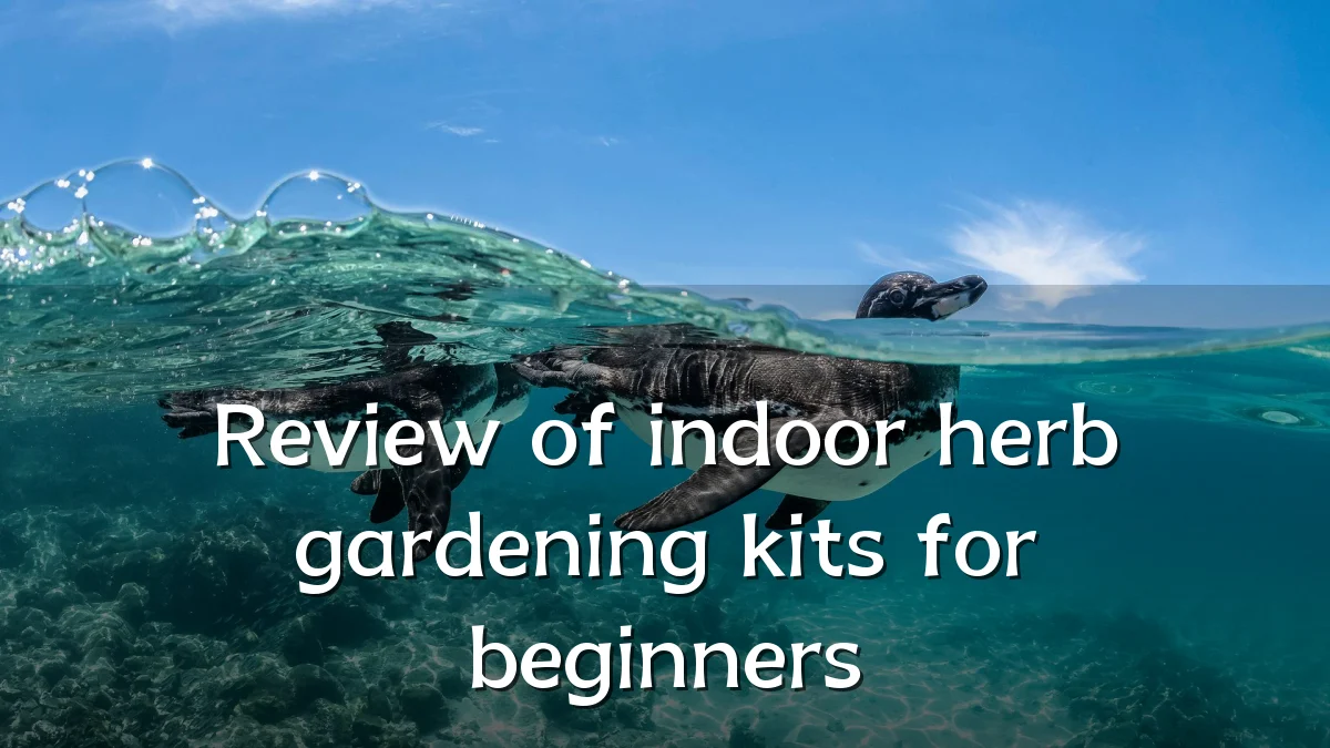 Review of indoor herb gardening kits for beginners