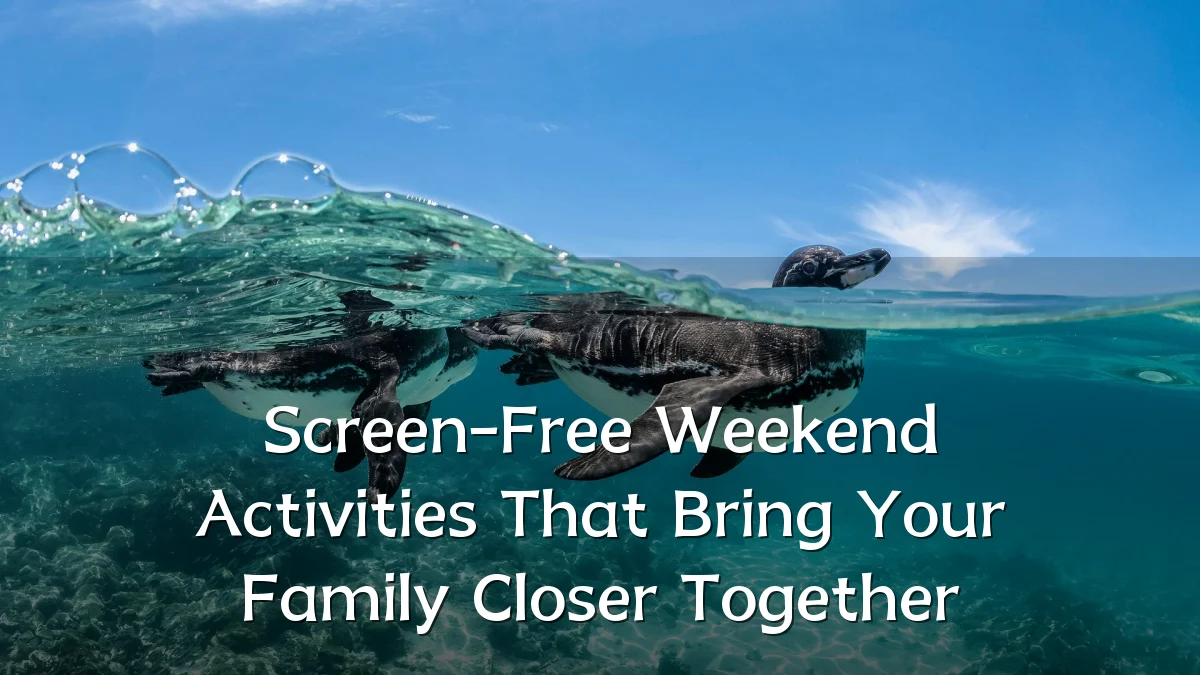 Screen-Free Weekend Activities That Bring Your Family Closer Together