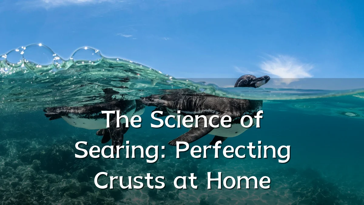 The Science of Searing: Perfecting Crusts at Home