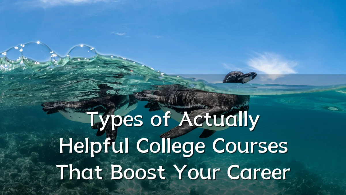 Types of Actually Helpful College Courses That Boost Your Career