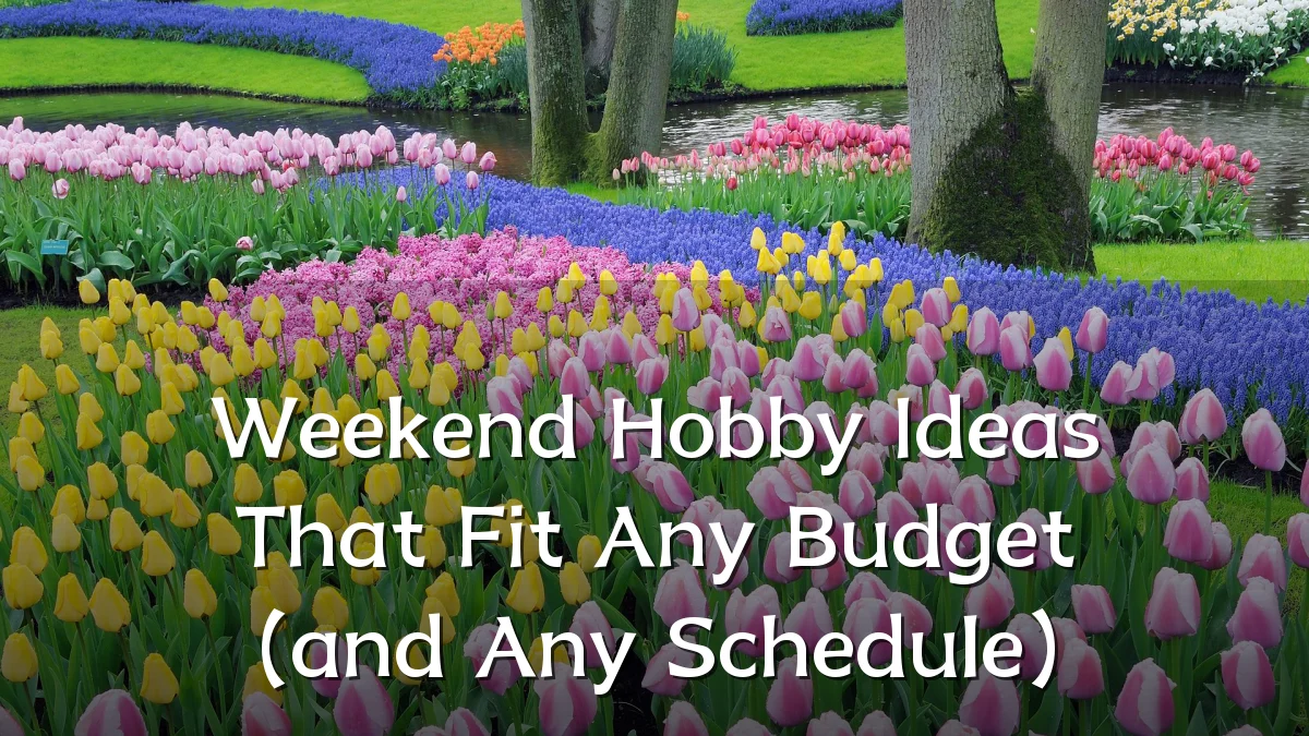 Weekend Hobby Ideas That Fit Any Budget (and Any Schedule)
