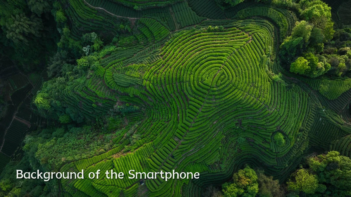 Background of the Smartphone