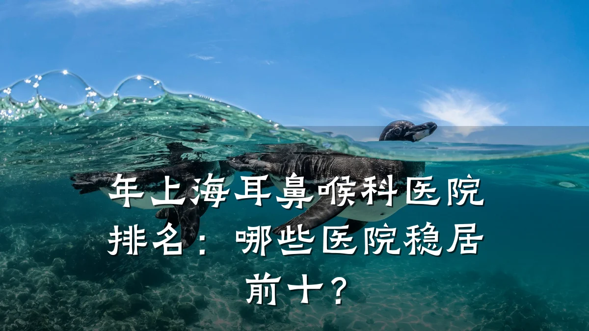 年上海耳鼻喉科医院排名：哪些医院稳居前十？