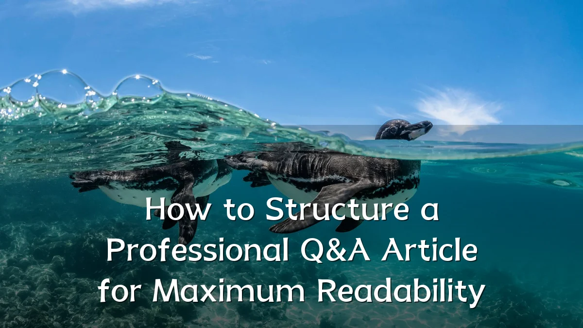 How to Structure a Professional Q&A Article for Maximum Readability